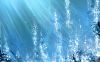 eau - 